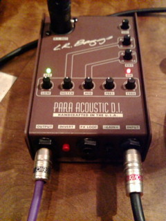 L.R. Baggs Para Acoustic D.I