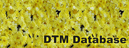 DTMデータベース TOP画像
